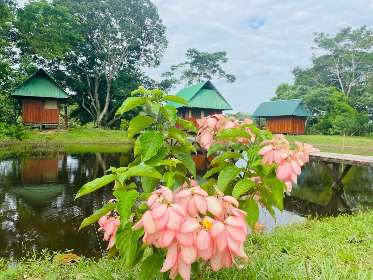 Villa Sunrise Of Tambopata Puerto Maldonado Exterior foto